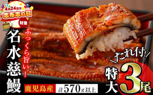 鹿児島県産うなぎ蒲焼 名水慈鰻 特大3尾(1尾190g以上)＜計570g以上＞　うなぎ 鰻 ウナギ 3尾 国産 蒲焼 かばやき 冷凍 真空 真空パック 無頭 うな重 ひつまぶし タレ 山椒 b1-023