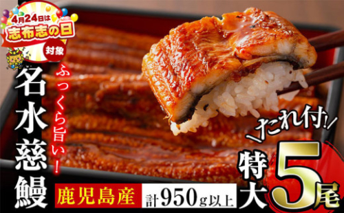 鹿児島県産うなぎ蒲焼 名水慈鰻 特大5尾(1尾190g以上)＜計950g以上＞ うなぎ 鰻 ウナギ 5尾 国産 九州産 蒲焼き かばやき 冷凍 うな重 ひつまぶし タレ 山椒 ランキング 人気 c5-035