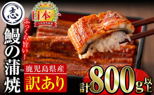 【訳あり・数量限定】復活！不揃いのうなぎ達 計800g以上(鹿児島県産 鰻の蒲焼き)　うなぎ 鰻 ウナギ 不揃い ふぞろい 訳アリ 国産 九州産 蒲焼 蒲焼き かばやき 冷凍 うな重 ひつまぶし 人気 b2-040