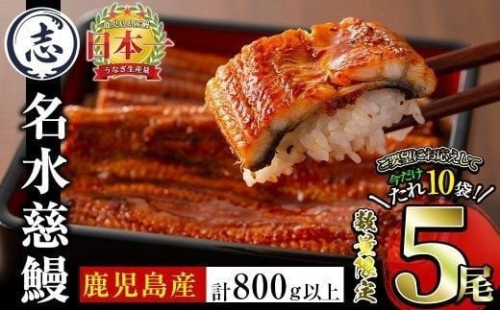 【志布志市制20周年記念】【数量限定】国産うなぎ蒲焼名水慈鰻5尾（合計800ｇ以上） うなぎ 鰻 ウナギ 5尾 国産 蒲焼 かばやき 冷凍 真空 真空パック 無頭 うな重 ひつまぶし タレ 山椒 b98-001