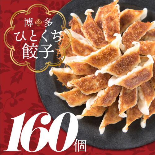 ZI142.福岡・博多の味『博多一口餃子』160個入(40個入×4P) 42784 - 福岡県新宮町