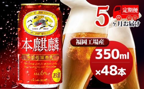 【定期便5回】キリン 本麒麟 350ml（48本）24本×2ケース 福岡工場産 ビール キリンビール お酒 アルコール飲料 5回お届け 晩酌 長期 低温 熟成 調和のある味わい 飲み会 家飲み 宅飲み  429368 - 福岡県朝倉市
