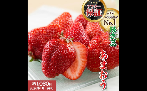 人気No.1獲得謝礼品★限定品★あまおう約1,080g(先行受付/2026年1月以降発送).AB378 43053 - 福岡県新宮町