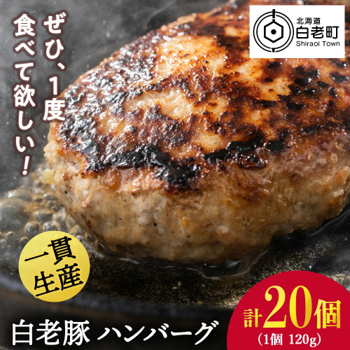 北海道産 白老豚 ハンバーグ 120g×20個セット 431192 - 北海道白老町