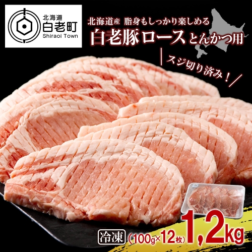 北海道産 白老豚 ロース とんかつ用 100g×12枚 431194 - 北海道白老町