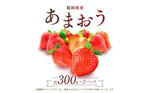 【赤村限定】 福岡県ブランドいちご“あまおう” 農家直送【300g×2パック】 ふるさと納税 あまおう ブランドいちご フルーツ 果物 旬 イチゴ 苺 福岡県産 送料無料 ふるさと ランキング 人気 おすすめ 2Z6