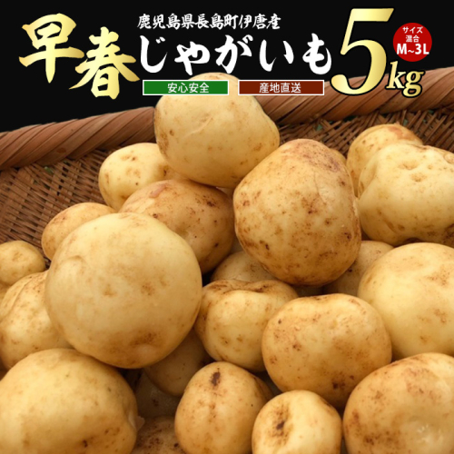 【先行予約】＜数量・期間限定＞ホックホク甘さがある伊唐産早春じゃがいも(約5kg)【旬感foods】horino-867 432079 - 鹿児島県長島町