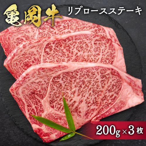希少 京都産ブランド黒毛和牛 亀岡牛 リブロース ステーキ 600g (200g×3枚) ≪牛肉 国産 京都丹波 和牛 冷凍 送料無料 牛肉≫ 432362 - 京都府亀岡市