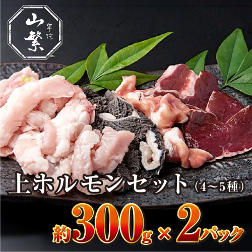 特産 認定肉 宇陀牛 国産 黒毛和牛 希少 上ホルモン 4～5種 約300g×2 / 宇陀 山繁 ふるさと納税 牛肉 焼肉 レア 人気 BBQ ランキング おすすめ グルメ 肉 返礼品 商品 送料無料 43286 - 奈良県宇陀市