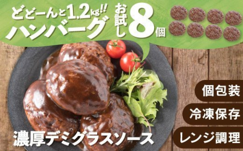 ZG146.累計４０万個突破記念！お試し1.2kg!デミハンバーグ【150g×8個】 43384 - 福岡県新宮町