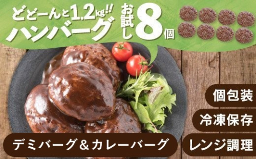 ZG197.累計40万個突破記念!お試し1.2kg!デミ&カレーハンバーグセット【150g×8個】 43386 - 福岡県新宮町