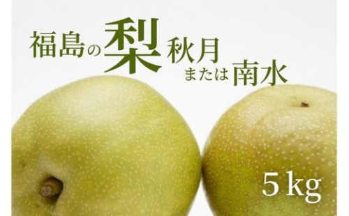 No.2186福島のなし　秋月または南水　約5kg【2026年発送　先行予約】