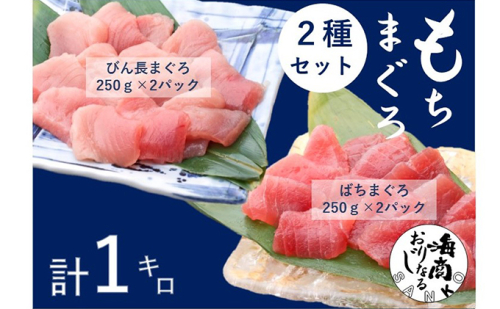 マグロセット 2種 詰め合わせ バチマグロ びんちょうまぐろ 中トロ 切り落とし セット 1kg (各250g×2パック) 刺身 刺し身 まぐろ 鮪 マグロ 魚 魚介 魚介類 高級 まぐろ切り落とし 天然まぐろ 静岡 静岡県 浜松市 【配送不可：離島】 435363 - 静岡県浜松市