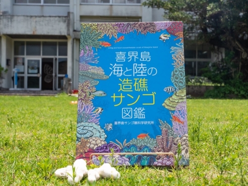 【喜界島】海と陸の造礁サンゴ図鑑 435401 - 鹿児島県喜界町