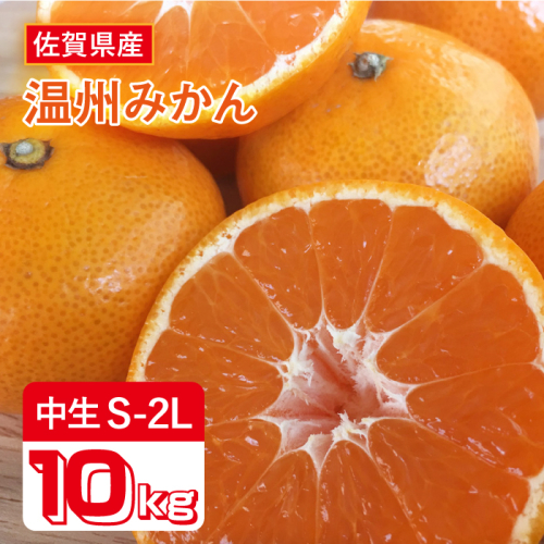 【10月上旬頃〜1月上旬発送】こたつで美味しいみかんを♪ 佐賀県産 中生みかん 10kg 吉野ヶ里町/リエンサーク [FCC009] 435638 - 佐賀県吉野ヶ里町