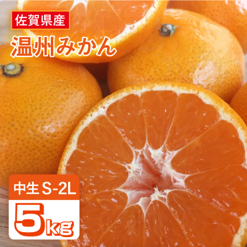 【10月上旬頃〜1月上旬発送】こたつで美味しいみかんを♪ 佐賀県産 中生みかん 5kg  みかん ミカン 蜜柑 フルーツ ふるーつ 果物 くだもの 吉野ヶ里町/リエンサーク [FCC010] 435639 - 佐賀県吉野ヶ里町