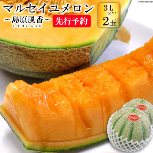 BD201【令和7年度出荷分】マルセイユメロン~島原風香~(3L×2玉) 【メロン 赤肉 果物 くだもの フルーツ 産地直送 長崎県 島原市】 435926 - 長崎県島原市