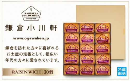 鎌倉ウィッチ「鎌倉ウィッチ（ラムレーズン） 30個入」
