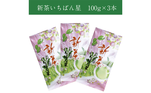 早摘み煎茶いちばん星100ｇ入×3本　宇治茶の木谷製茶場　〈 煎茶 お茶 茶 緑茶 新茶 茶葉 お茶葉 早摘み いちばん星 宇治 〉 加工食品  44749 - 京都府宇治田原町