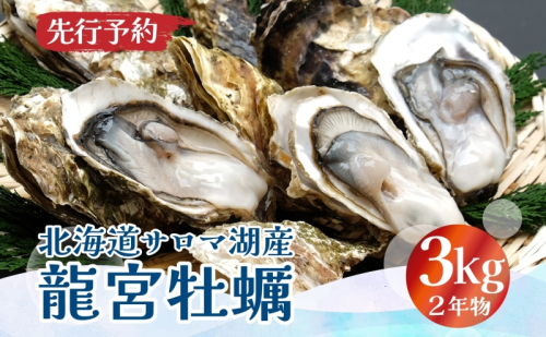 先行予約 先行予約北海道 サロマ湖産 龍宮牡蠣 3kg（ 2年物 殻付き カキ ）カキナイフ付 牡蠣 海鮮 魚介 国産 貝付き 生牡蠣 生食 焼き牡蠣 蒸し牡蠣 冷蔵 産地直送 オホーツク  45327 - 北海道湧別町
