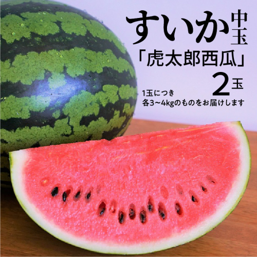 【2025年発送】夏の風物詩 中玉すいか「虎太郎西瓜」２玉 すいか 甘い すいか2玉 　H141-016 453678 - 愛知県碧南市