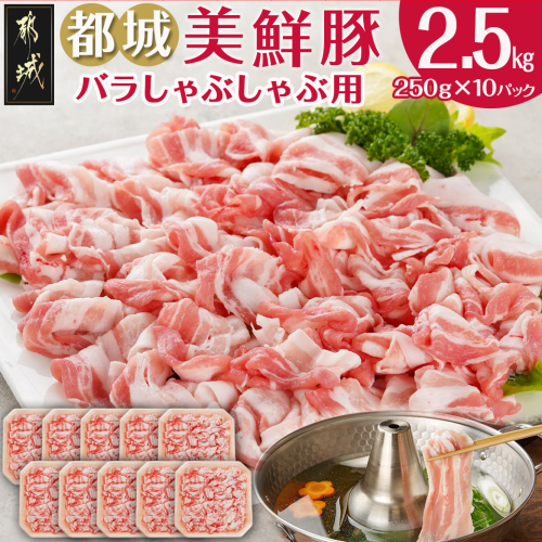 「都城美鮮豚」バラしゃぶ2.5kg(250g×10パック)_AC-5402 46189 - 宮崎県都城市
