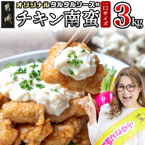 宮崎県産鶏チキン南蛮3.0kgセット_17-1508 46264 - 宮崎県都城市