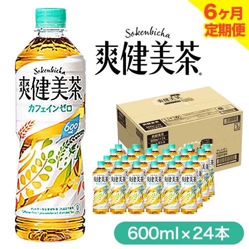 ★ 6ヶ月 定期便 ★ 爽健美茶 600ml×24本 コカ・コーラボトラーズジャパン 《お申込み月翌月から出荷開始》 和歌山県 紀の川市 お茶 茶 ハトムギ 玄米 月見草 463082 - 和歌山県紀の川市