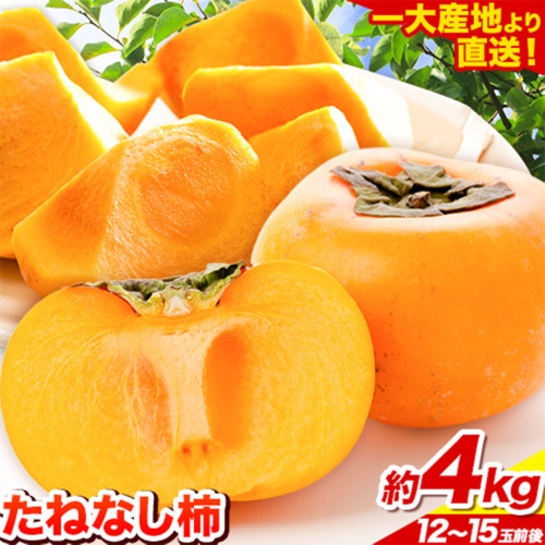 【先行予約】たねなし柿（刀根早生柿・平核無柿）約4kg（12～15玉前後） 《2025年9月中旬-11月上旬頃出荷》 和歌山県 紀の川市 種なし柿 産地直送 柿 果物 フルーツ 2L～Mサイズ カキ 464042 - 和歌山県紀の川市