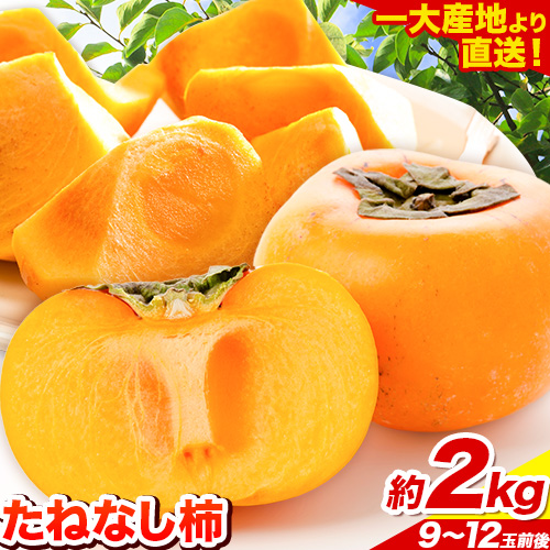 【先行予約】たねなし柿（刀根早生柿・平核無柿）約2kg（9～12玉前後）《2025年9月中旬-11月上旬頃出荷》 和歌山県 紀の川市 種なし柿 産地直送 柿 果物 フルーツ 2L～Mサイズ カキ 464043 - 和歌山県紀の川市