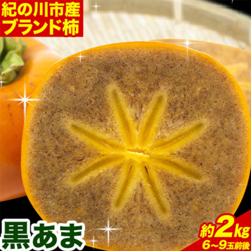 【先行予約】紀の川市産 黒あま 種なし 約2kg（6～9玉前後）4L～2Lサイズ《2025年10月中旬-11月末頃出荷》和歌山県 紀の川市 たねなし柿 くろあま 高級 産地直送 かき 柿 カキ 果物 フルーツ 464065 - 和歌山県紀の川市