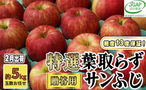 2月発送【 糖度保証 】贈答用 葉取らず サンふじ 約 5kg 【 特選 】鶴翔りんごGAP部会 青森県産 津軽産 リンゴ 林檎 果物 JGAP認証 安心 丸かじり 甘い 高糖度 ギフト  468858 - 青森県鶴田町