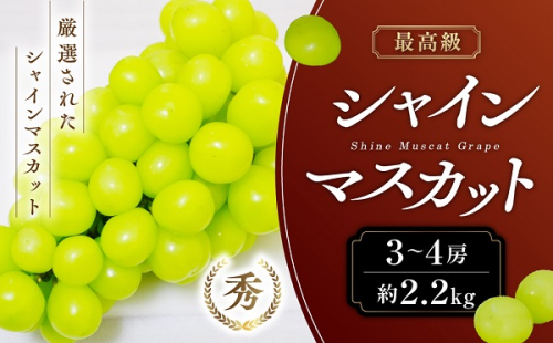 【2025年発送】 最高級 シャインマスカット3～4房 約2.2kg 先行予約 山梨県産 産地直送 フルーツ 果物 くだもの ぶどう ブドウ 葡萄 シャイン シャインマスカット 新鮮 人気 おすすめ 国産 贈答 ギフト お取り寄せ 山梨 甲斐市 AN-12 469305 - 山梨県甲斐市