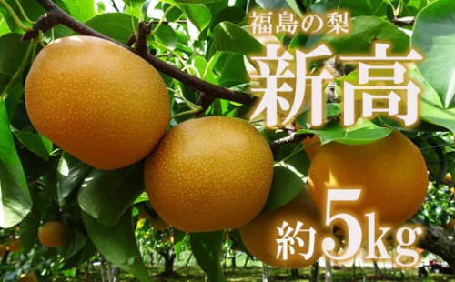 No.2190福島のなし　新高　約5kg【2026年発送　先行予約】