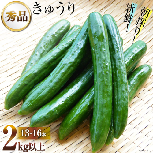 AG063【令和7年度出荷分】【秀品】新鮮 朝採りきゅうり 2kg以上 469452 - 長崎県島原市