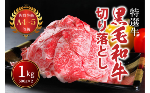 国産！！ A4～A5ランク黒毛和牛切り落とし１㎏（５００g×２パック）