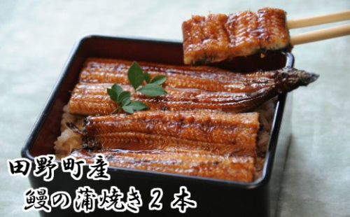 田野町産うなぎの蒲焼き（大）2本 タレ付き 山椒付き うなぎ 鰻 ウナギ 蒲焼き かば焼き 無頭 おいしい 国産 お取り寄せ 冷凍 配送 47005 - 高知県田野町