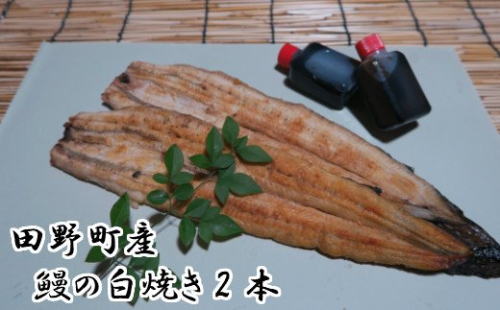 田野町産うなぎの白焼き(大)2本 タレ付き 山椒付き うなぎ 鰻 ウナギ 白焼 無頭 おいしい 国産 個包装 お取り寄せ 冷凍 配送 47006 - 高知県田野町