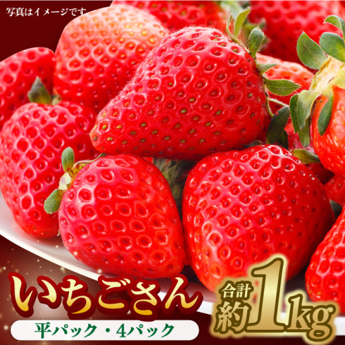 【1月中旬〜2月中旬発送】やさしい味わい！いちごさん 平パック×4P 約1kg いちご イチゴ 佐賀県産 佐賀県 佐賀 パック 吉野ヶ里町/リエンサーク [FCC003] 470587 - 佐賀県吉野ヶ里町