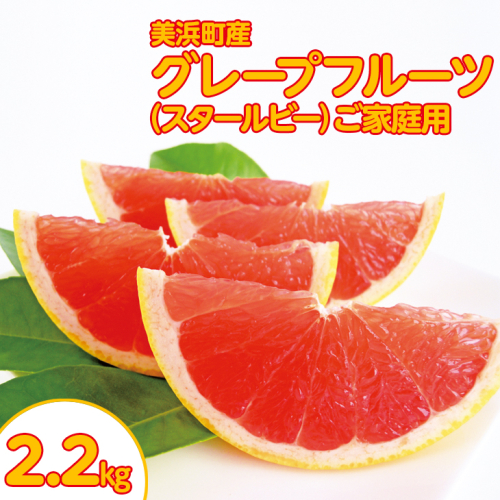 美浜町産グレープフルーツ（スタールビー）ご家庭用　6-8玉（約2.2kg） ※2025年5月上旬〜7月上旬頃に順次発送予定 ※着日指定不可 471056 - 愛知県美浜町