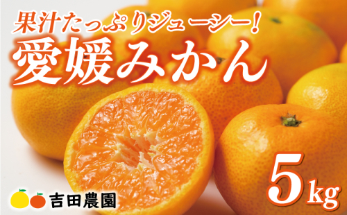先行予約 愛媛みかん 5kg 13000円 愛媛 みかん 温州みかん こたつ みかん mikan 蜜柑 ミカン 家庭用 贈答用 ギフト プレゼント お歳暮 産地直送 国産 農家直送 糖度 期間限定 数量限定 特産品 ゼリー ジュース アイス 人気 限定 甘い フルーツ 果物 柑橘 先行 事前 予約 受付 ビタミン 美味しい おいしい 吉田農園 愛南町 愛媛県 472717 - 愛媛県愛南町