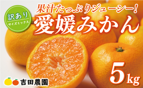 先行予約 訳あり 愛媛みかん 5kg 10000円 愛媛 みかん 温州みかん こたつ みかん mikan 蜜柑 ミカン 家庭用 産地直送 国産 農家直送 糖度 期間限定 数量限定 特産品 ゼリー ジュース アイス 人気 限定 甘い フルーツ 果物 柑橘 先行 事前 予約 受付 ビタミン 美味しい おいしい サイズ ミックス 吉田農園 愛南町 愛媛県 472718 - 愛媛県愛南町