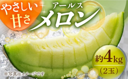 【 メロン 先行予約】 アールスメロン 約4kg（2玉）12月初旬～中旬発送 [DAT002] メロン めろん 青肉 甘い フルーツ 果物 くだもの デザート 贈答 ギフト プレゼント 産直 産地直送 メロン 2玉 2025年 年内発送 年内配送 メロン 2025