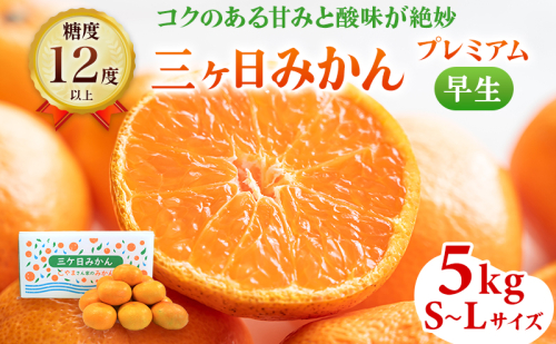三ヶ日みかん プレミアム 早生 5kg S～Lサイズ混在 12月上旬より順次発送 みかん ミカン 蜜柑 早生みかん 三ヶ日 果物 くだもの フルーツ 旬の果物 旬のフルーツ 柑橘 柑橘類 糖度 静岡 静岡県 浜松市 474253 - 静岡県浜松市