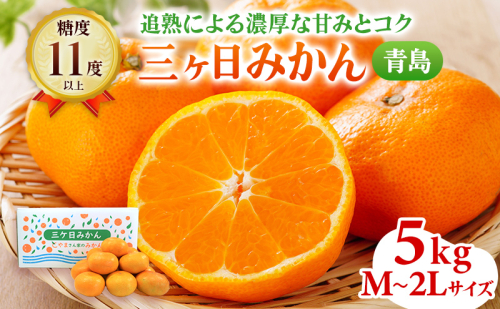 先行予約 青島みかん M～2Lサイズ サイズ混在 5kg 三ヶ日みかん 果物 くだもの フルーツ 旬の果物 旬のフルーツ みかん 蜜柑 ミカン 三ヶ日 青島 柑橘 柑橘類 静岡 静岡県 浜松市 474256 - 静岡県浜松市