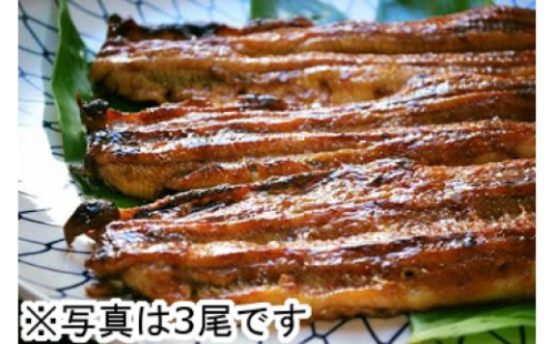 【一度食べたらやみつき！リピート多数】うなぎ蒲焼１尾【D008U】 47465 - 滋賀県近江八幡市