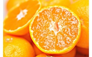 ［先行予約］完熟早生みかん 家庭用 約5kg S～SSSサイズ混合