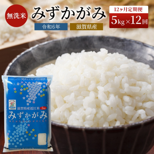 【令和7年産新米】【先行受付開始】滋賀県産 定期便 12ヶ月 みずかがみ BG無洗米 5kg ふるさと応援特別米 無洗米 お米 こめ コメ おこめ 白米 12回 お楽しみ 48951 - 滋賀県豊郷町