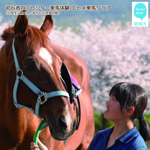 初心者向け　ビジター乗馬体験　エヒメ乗馬クラブ（小学生以上1名 30分+引き馬1周） 49069 - 愛媛県新居浜市