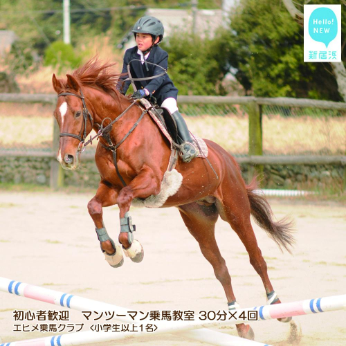 初心者歓迎　マンツーマン乗馬教室30分×4回　エヒメ乗馬クラブ（小学生以上1名） 49070 - 愛媛県新居浜市